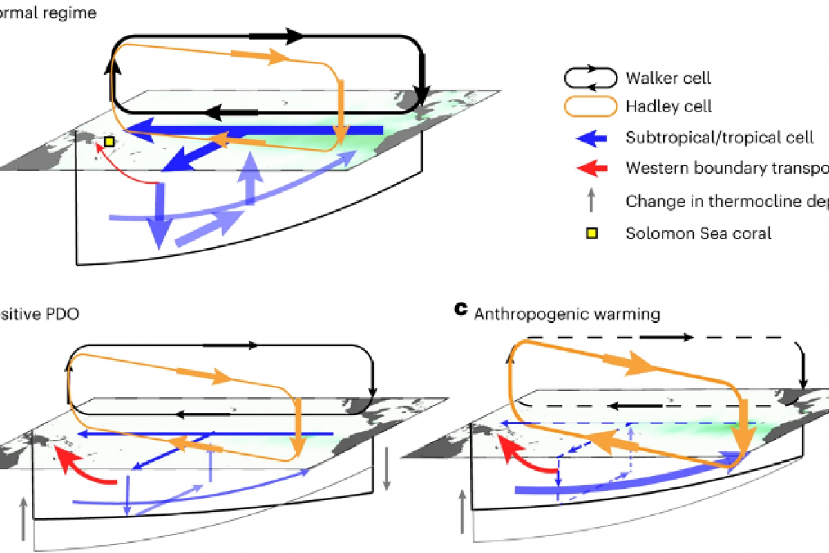 暖化下的南太平洋西邊界流增強